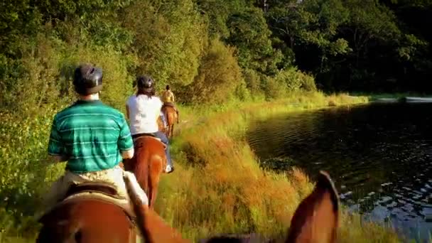Uma Família Monta Cavalos Longo Lago — Vídeo de Stock