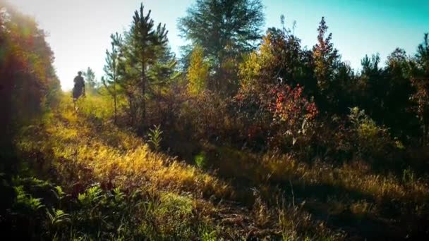 Hunt Ülés Lovas Lovagolni Egy Dombon Ősszel — Stock videók