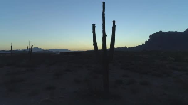 Dolly Icónica Silueta Cactus Sonoran Saguaro Durante Crepúsculo — Vídeos de Stock