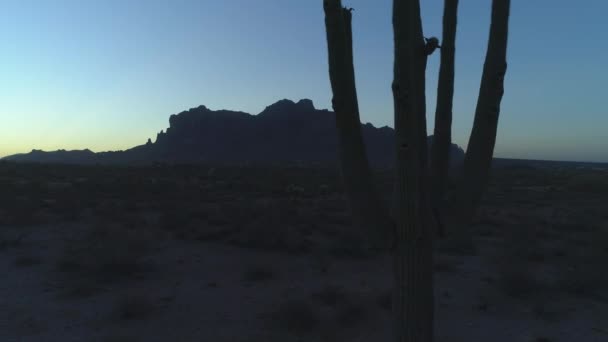 Antena Kultowego Kaktusa Sonoran Saguaro Podczas Zmierzchu Dolly Right — Wideo stockowe