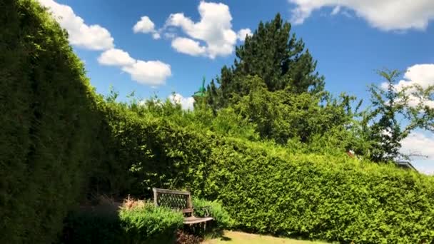 Hoek Van Een Tuin Met Groene Struik — Stockvideo