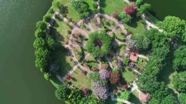 Schoten Uit Het Park Een Zonnige Zomerdag — Stockvideo