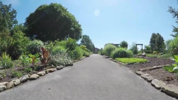 Short Clip Walking Beautiful Plant Lined Park Pathway — Stock Video