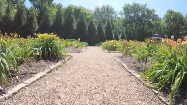 Short Clip Walking Gorgeous Flower Lined Pathway Park — Stock Video