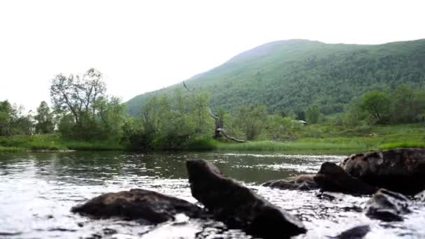 Filmación Del Río Calma Fluyendo — Vídeos de Stock