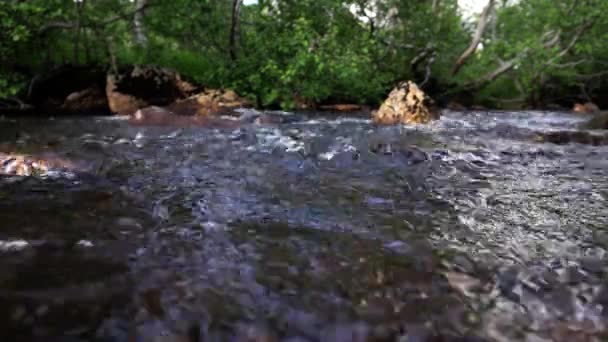 Πλάνα Από Ήρεμο Ποτάμι Που Ρέει — Αρχείο Βίντεο