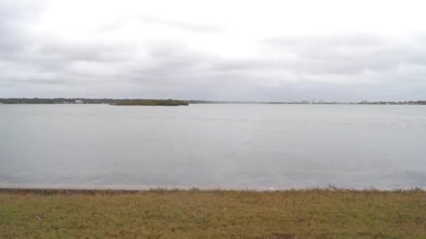 Una Cupa Mattina Inverno Boca Ciega Bay Bay Pines Florida — Video Stock