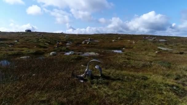 Wwii Bomber Plane Crashed Mountain Southern Norway 1946 Reverse Fly — Stock Video