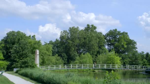 Eine Läuferin Läuft Über Eine Brücke Waldpark Und Dann Auf — Stockvideo