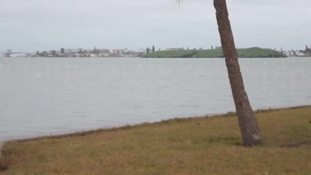 Düsterer Wintertag Bay Pines Florida Blick Nach Südosten Vom War — Stockvideo