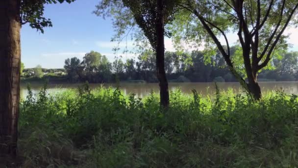 Słoneczny Dzień Białymi Chmurami Widokiem Las Rzekę Kajaku — Wideo stockowe