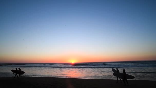 グループは今南根モロッコの美しい日の出にビーチでサーフィンをします — ストック動画