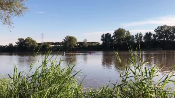 Sunny Day Some White Clouds Enjoying Views Forest River Kayak — Stock Video