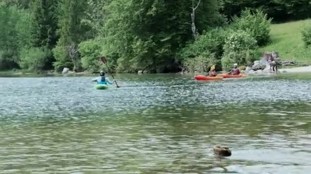 Tři Lidé Kanoistika Jezeře Bohinj Slovinsko — Stock video