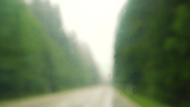 Slowmo Racking Focus Rainddrops Foreglass Wipers Black Forest Trees Distance — Stock video