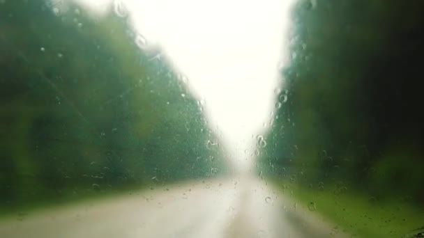 Slowmo Racking Focus Rainy Foreglass Car Coming Black Forest Germany — Stock video