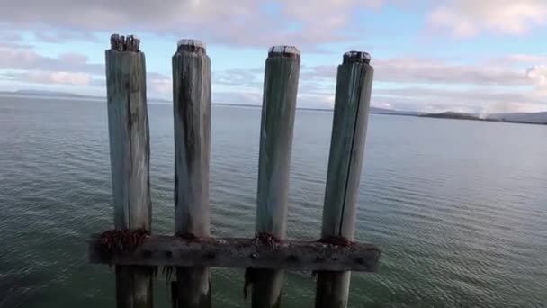 Cuatro Pilas Madera Orilla Del Mar — Vídeos de Stock