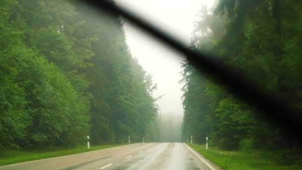 Slowmo Pov Conduire Travers Forêt Sempervirente Jour Pluie — Video