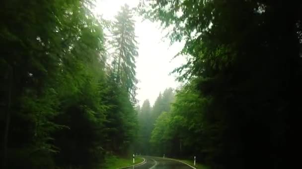 Slowmo Projíždějící Černým Lesem Německo Deštivém Dni Rozsvícenými Stěrači — Stock video