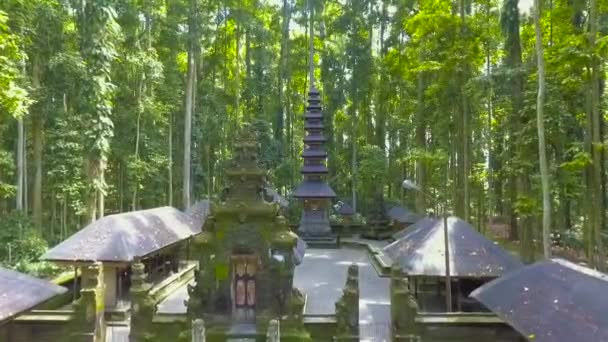Bali Indonésie Temple Forêt Singes — Video