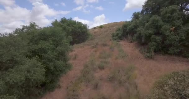 飞上山坡 无人驾驶飞机 — 图库视频影像