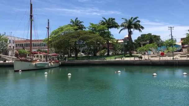 Filmación Del Puerto Barbados Velero — Vídeos de Stock