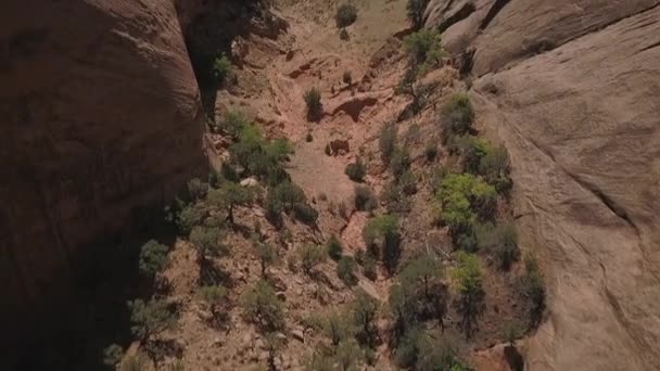 植生と谷を囲む赤と砂の色の岩の形成 ユタ州 傾きを明らかに — ストック動画