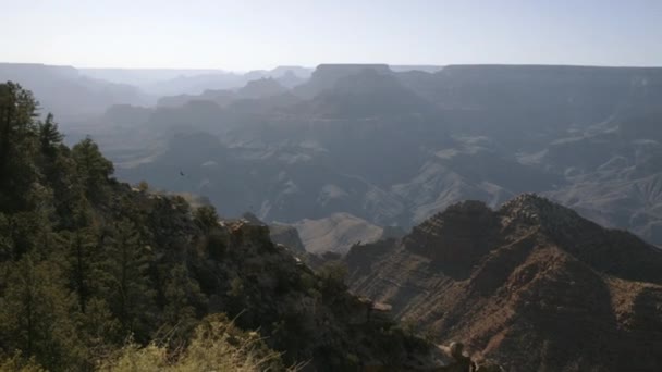 Kondoři Přeletěli Nad Útesem Velkém Kaňonu Arizoně Široké Panorama Zamlženém — Stock video