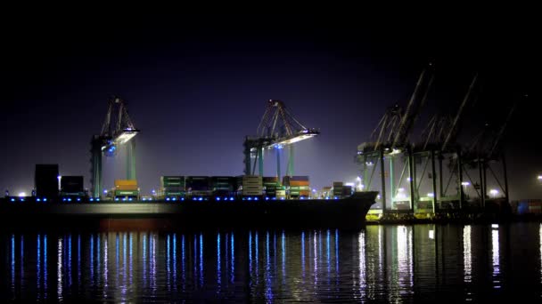 Timelapse Shipping Dock Notte San Pedro California Con Movimento Dell — Video Stock