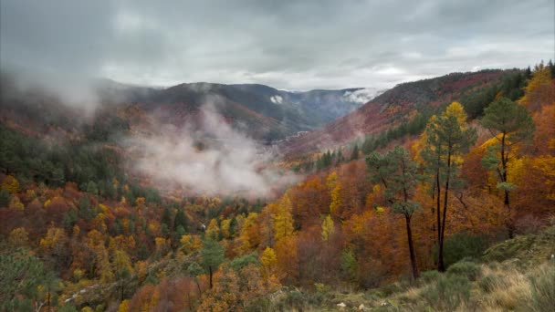 4k timelapse záběry mystické mlhy tančící uprostřed údolí Leandres s podzimními barvami, v přírodním parku Serra da Estrela, Portugalsko.
