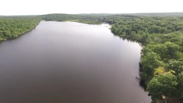 Flyover Lago Calmo Durante Verão — Vídeo de Stock