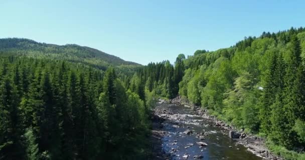 Sommer Mit Drohne Über Wald Und Fluss Nordskandinavien Fliegen — Stockvideo