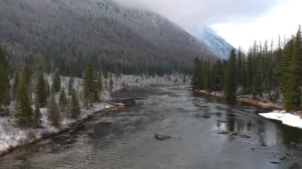 Río Las Montañas Altay — Vídeos de Stock