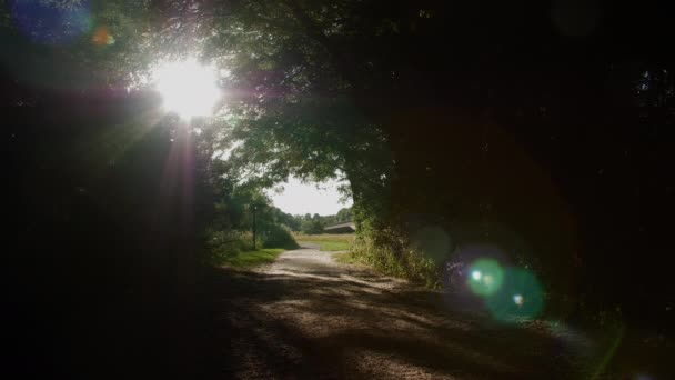 Chemin Menant Lumière Soleil Avec Une Lentille Flair Dans Une — Video