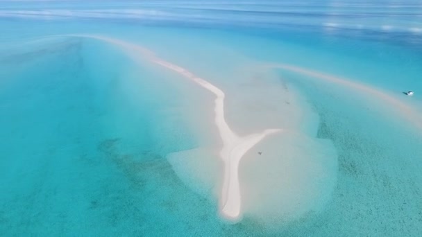 Dynamic Aerial shot of 2 girls exploring incredible sand bank in crystal clear bahamiann waters