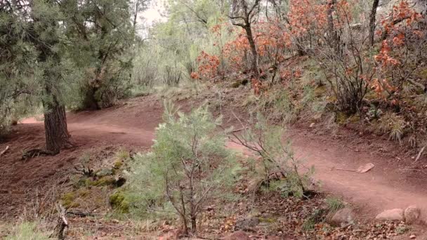 Hombre Ciclista Montaña Rutas Través Las Montañas — Vídeo de stock