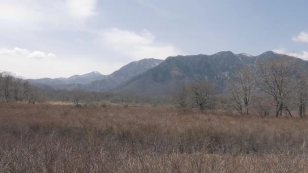 Nikko Forest Senjougahara Marshland Left Shot — 图库视频影像