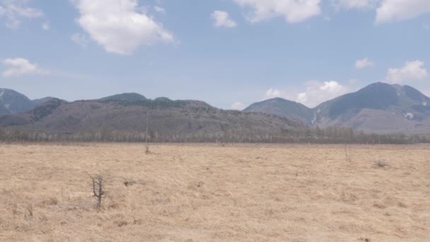 Nikko Senjougahara Marshland Αριστερή Δεξιά Βολή — Αρχείο Βίντεο