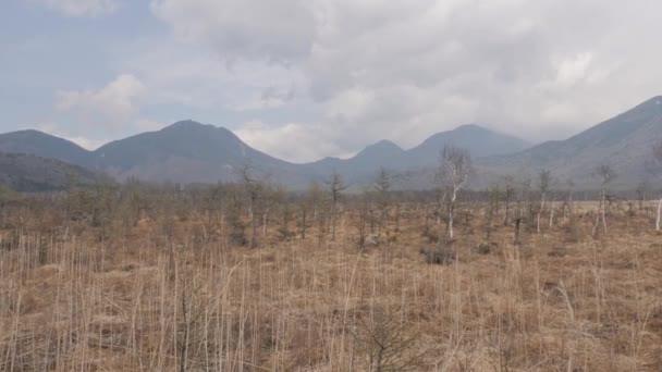 Nikko Senjougahara Palude Ancora Girato Monte Nantei Sullo Sfondo Giappone — Video Stock