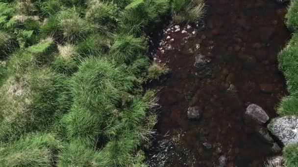 Unosząca Się Bliska Antena Płynącego Strumienia Otoczonego Pastwiskami Krzewami Dartmoor — Wideo stockowe