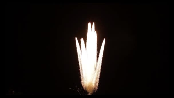 Explosão Vertical Cintilante Fogo Artifício Câmera Lenta Para Uso Com — Vídeo de Stock