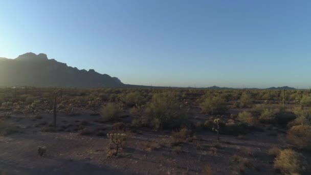 Aerial Arizona Sonoran Desert Highway Distance — Stock Video