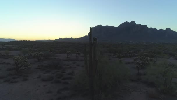 Zoom Iconic Sonoran Saguaro Cactus Silhouette Twilight — стокове відео