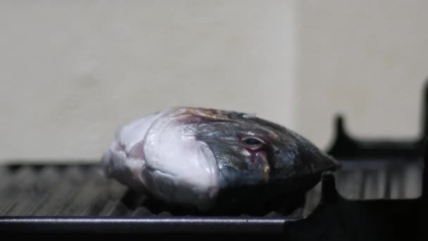 屋外のグリルでは生の鯛が調理されています バーベキュー近くで撃たれた — ストック動画