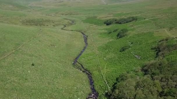 Vue Aérienne Vue Ensemble Vers Avant Dessus Bois Wistman Rivière — Video