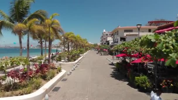 Luftaufnahme Die Über Die Strandpromenade Von Puerto Vallarta Fliegt Eine — Stockvideo