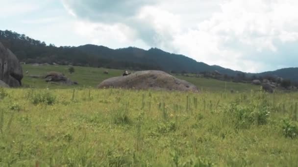 美丽的绿色风景 背景是群山 云彩闪烁 阴云密布 夏日和白昼充满了波澜 — 图库视频影像