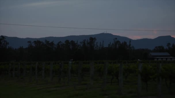 Západ Slunce Nad Vinicemi Huntervalley Nsw Austrálie — Stock video