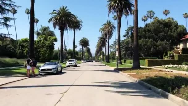 Palmboom Omzoomd Straat Los Angeles — Stockvideo