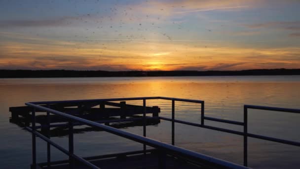 Σιλουέτα Αποφοίτων Κατά Ηλιοβασίλεμα Στην Προβλήτα Θέα Την Όμορφη Λίμνη — Αρχείο Βίντεο